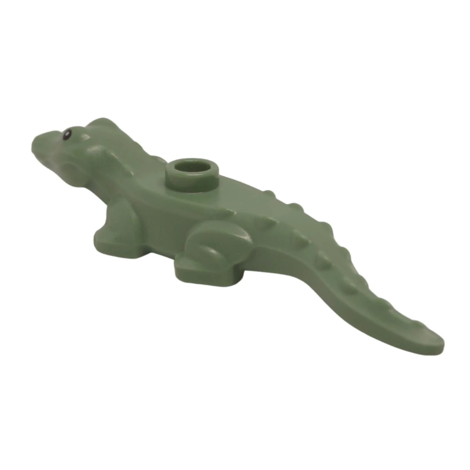 Baby Alligator / Crocodile Hatchling (78532pb02) - Image 3