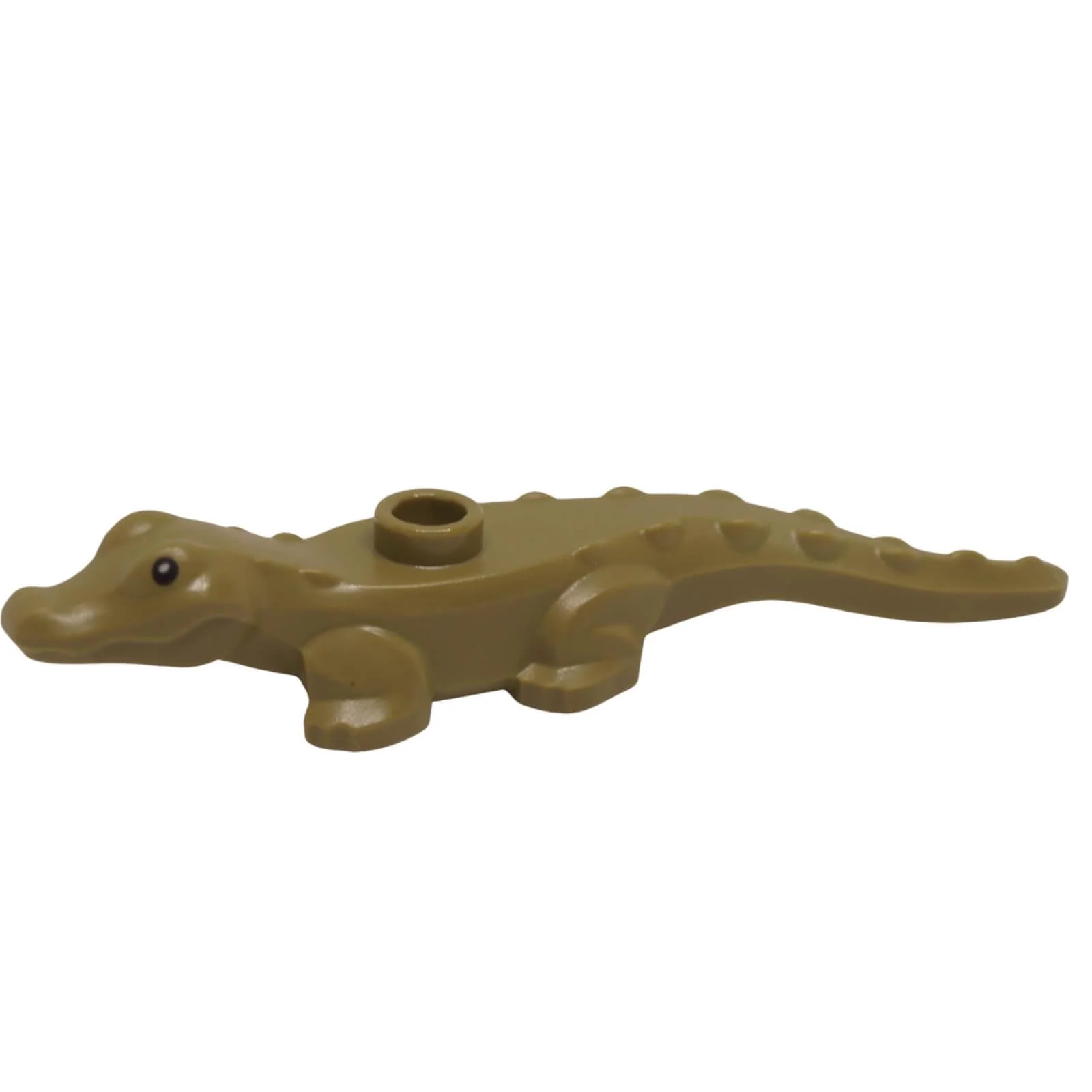 Baby Alligator / Crocodile Hatchling (78532pb02) - Image 4