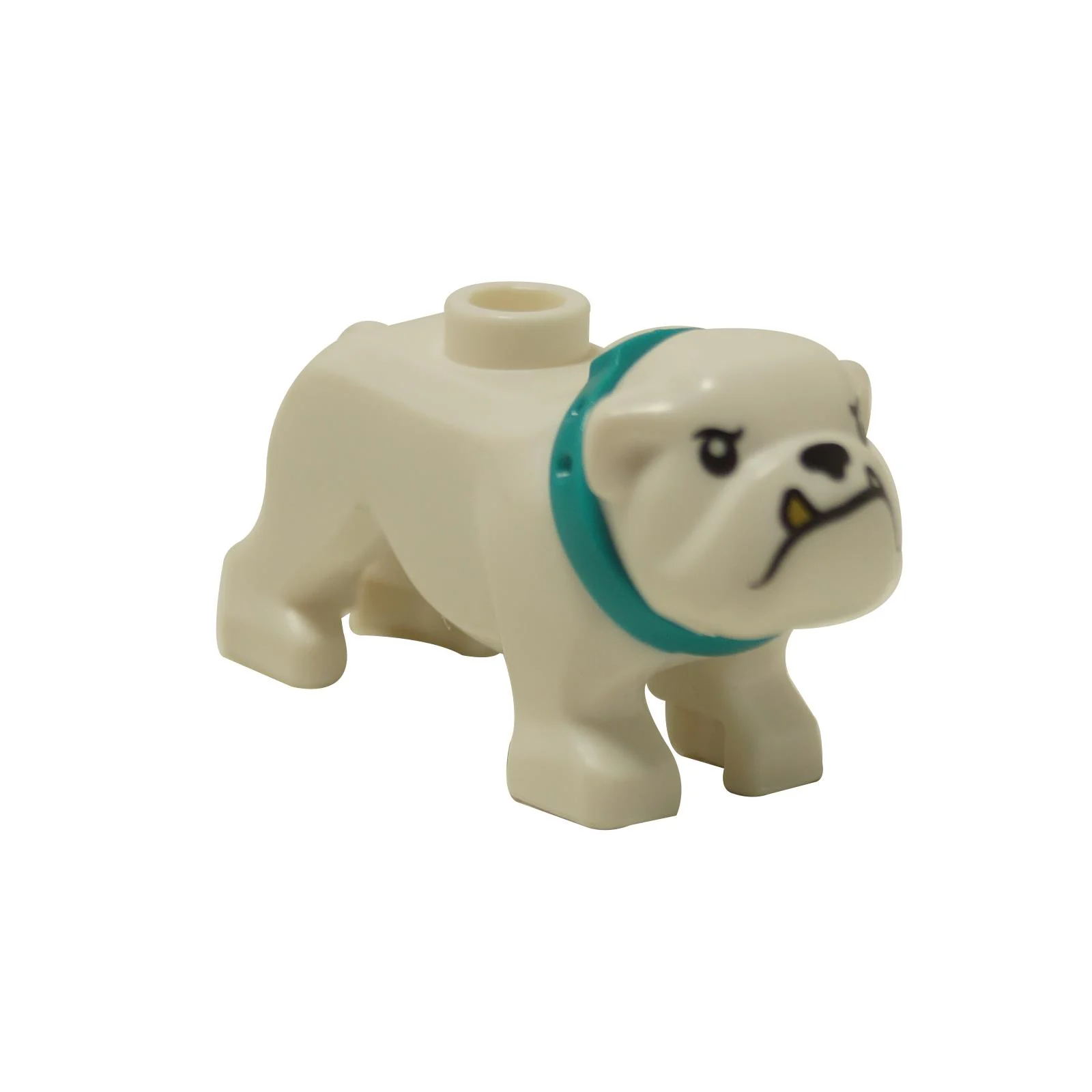 Bulldog with Gold Tooth 65388pb03