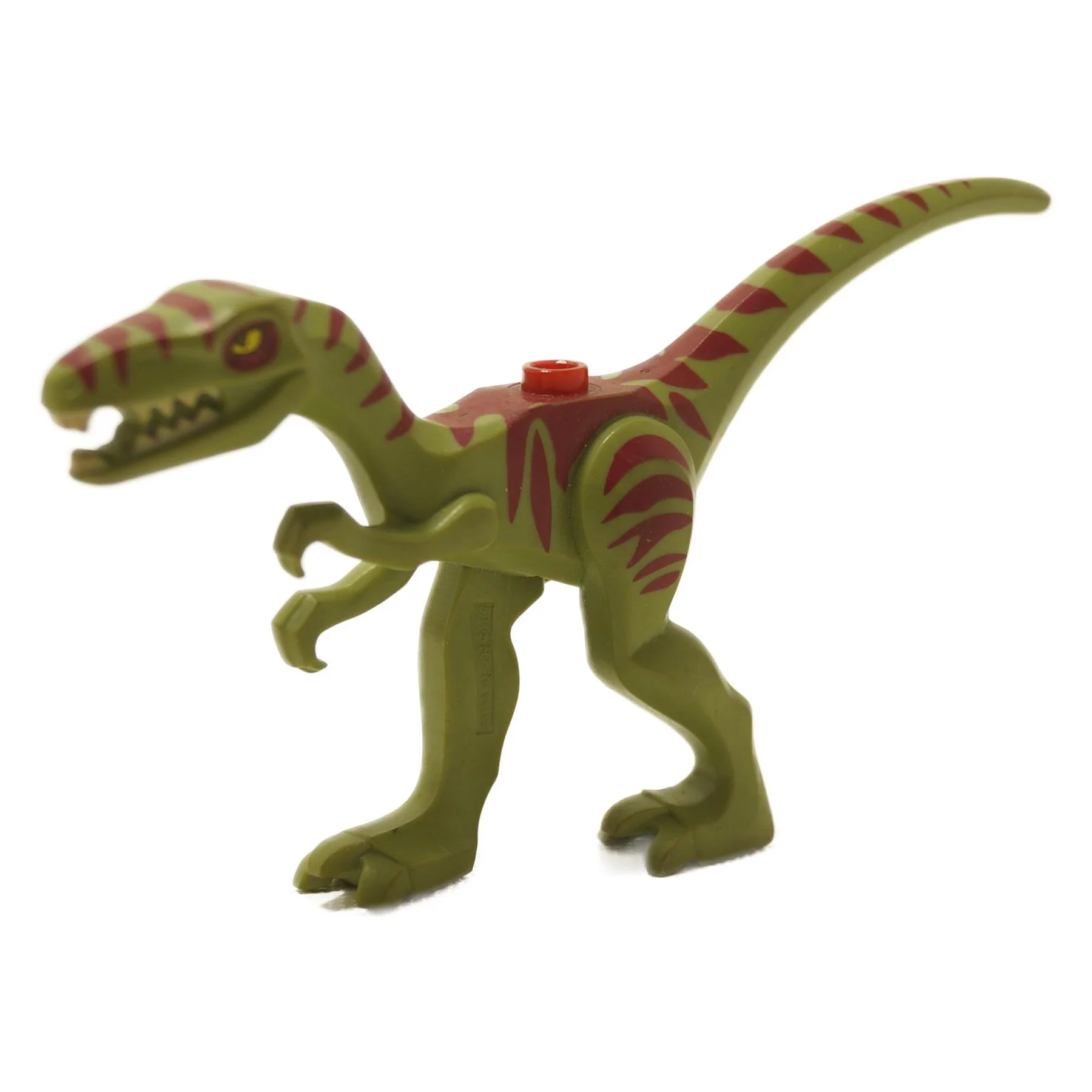 Coelophysis Dinosaur – Olive Green with Red Stripes - Image 2