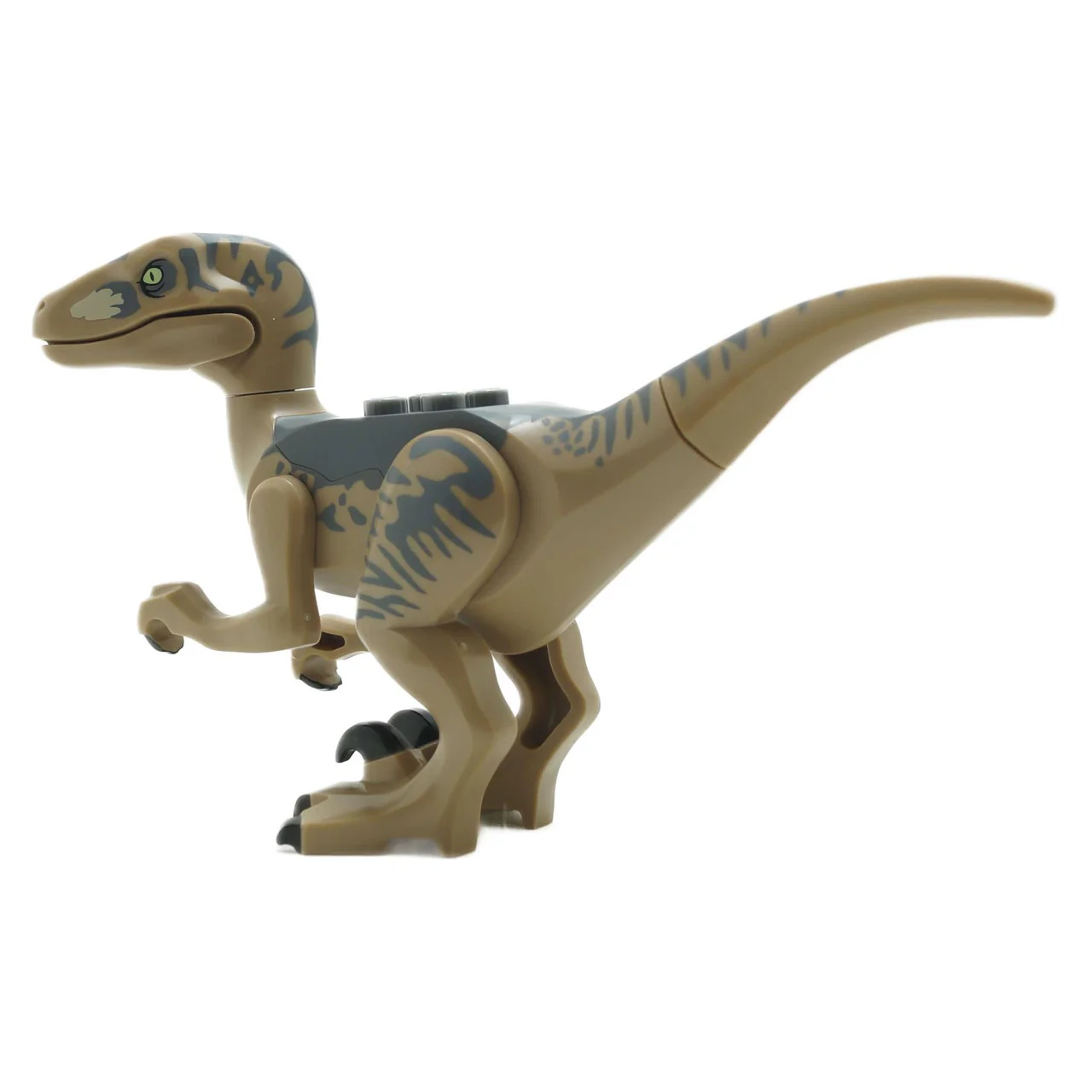 Dinosaur Raptor / Velociraptor with Dark Bluish Gray Back - Image 5