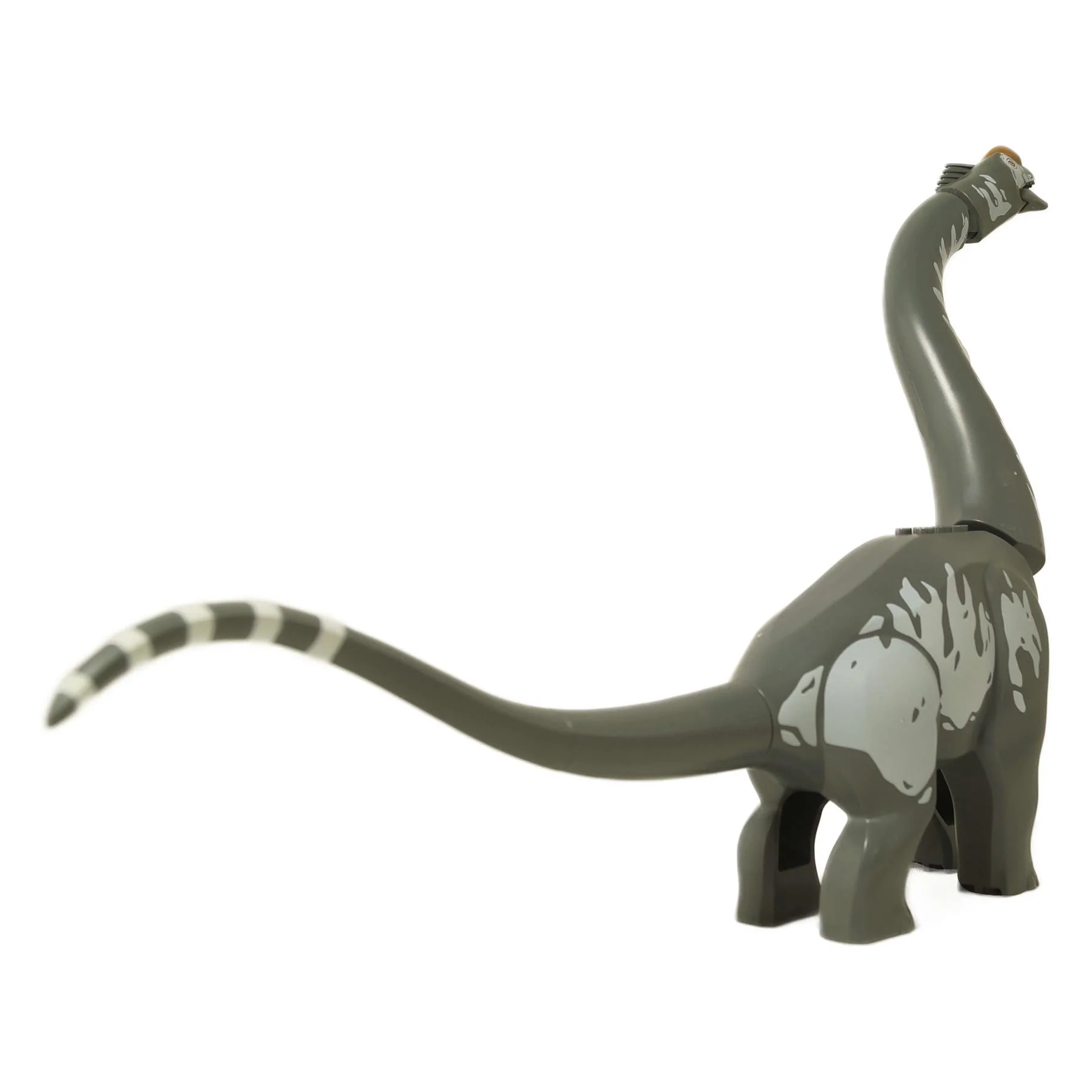 Dinosaur Titanosaurus - Image 2