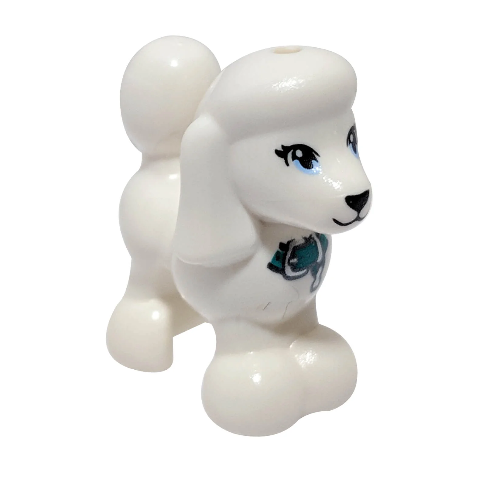 Poodle with Dark Turquoise Collar 11575pb04