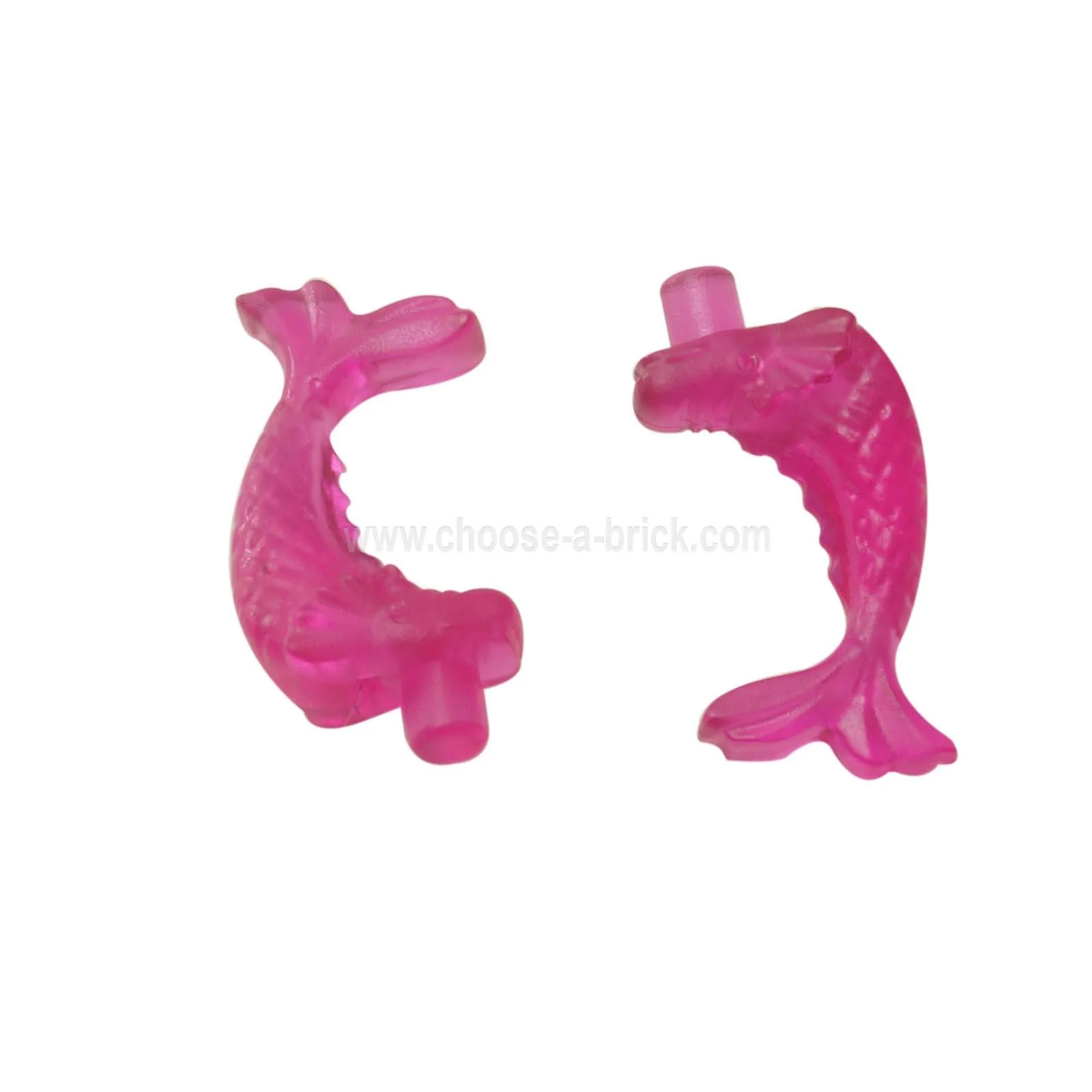 Fish, Ornamental - Image 2