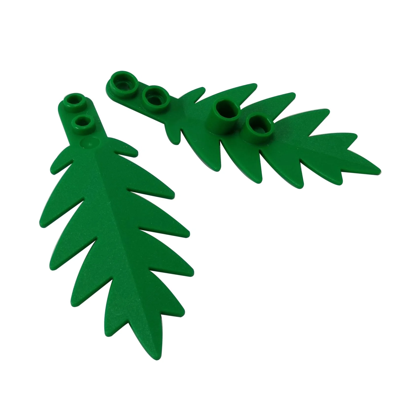 Plant, Tree Palm Leaf Small 8 x 3 - Image 6