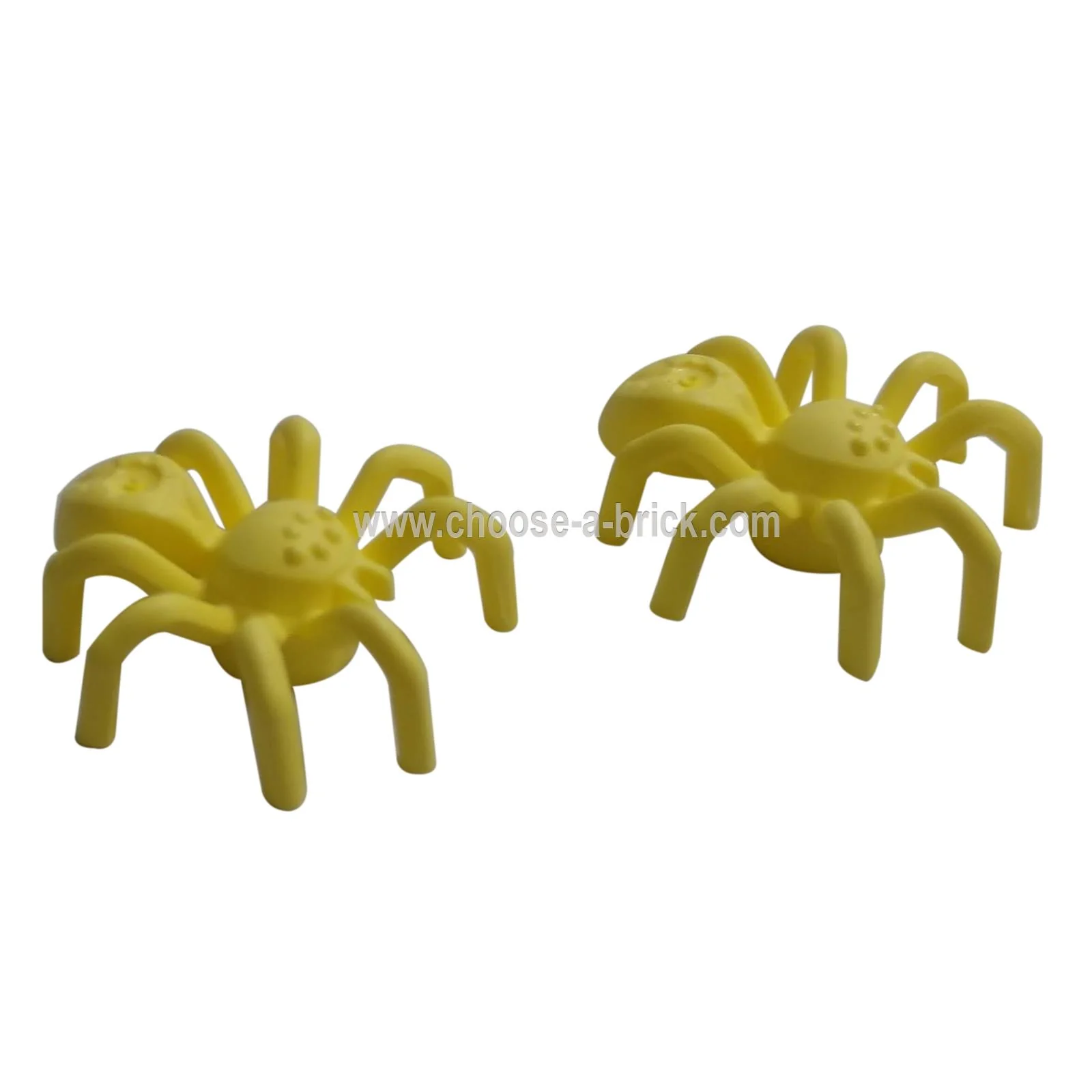 Spider with Elongated Abdomen - Image 6