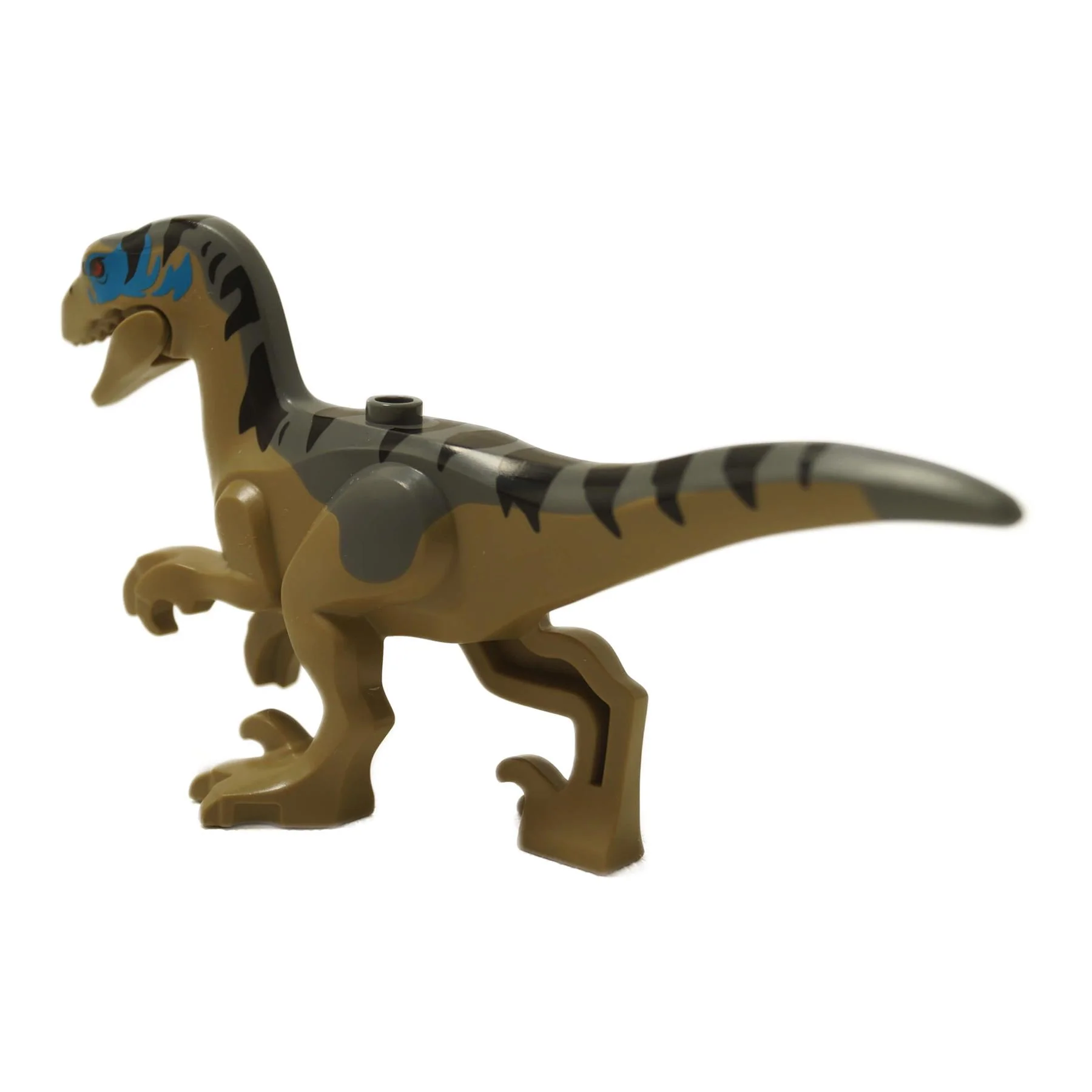Velociraptor with Blue Face Markings Raptor11 - Image 2