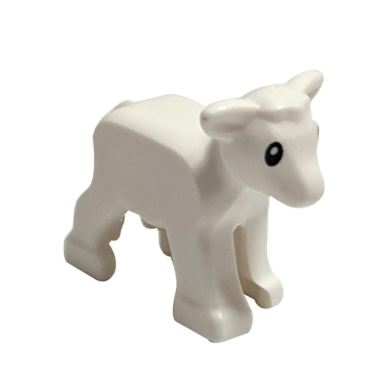 White lamb